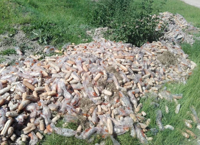 Cormurile au fost aruncate ambalate pe malul Mureşului. Foto: ocnamuresonline.ro