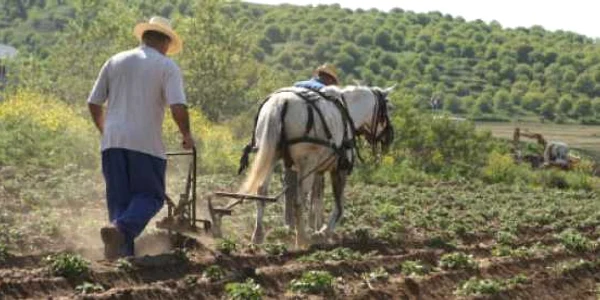 Mai mult de jumătate dintre producătorii agricoli din România lucrează neautomatizat pământurile