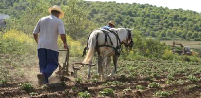 Mai mult de jumătate dintre producătorii agricoli din România lucrează neautomatizat pământurile