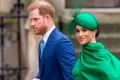 harry si meghan png