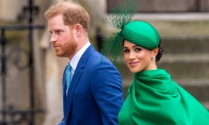 harry si meghan png