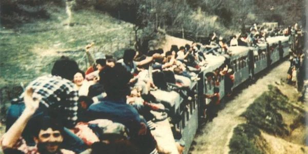 mocanita apuseni