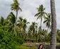 Andreia, imagini din Hawaii. Foto: Instagram