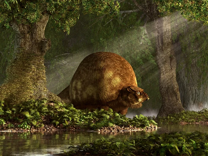 5 glyptodon jpg jpeg