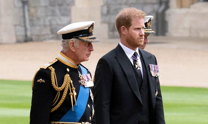 Regele Charles si Printul Harry   GettyImages 1243366188 jpg
