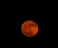 luna capsuna carolina sua facebook Gordon Alen jpg