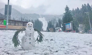 4 actu 16 nov 2018 poiana brasov jpeg