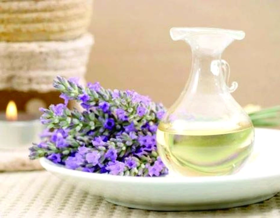 
    Lavanda este folosită ca plantă medicinală din vremuri îndepărtate  