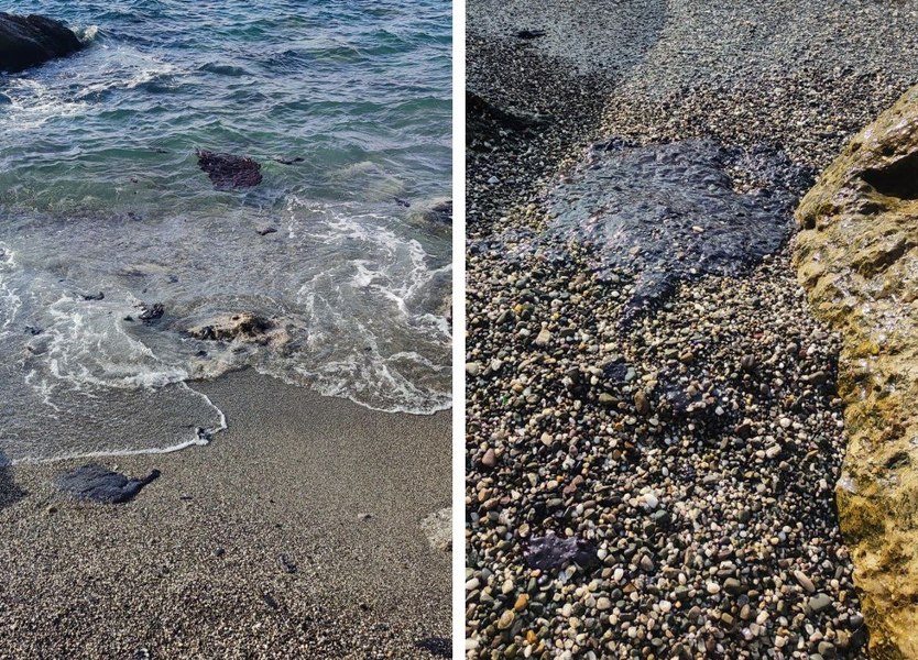 Autoritățile române, în alertă, din cauza „celui mai mare dezastru ecologic din ultimii ani”. Mircea Fechet: „Suntem cu ochii pe Marea Neagră”