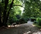 parcul dendrologic din simeria foto daniel guta adevarul