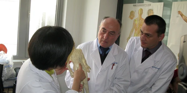 medici china tulcea