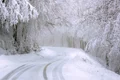 road 4730553 1280 jpg