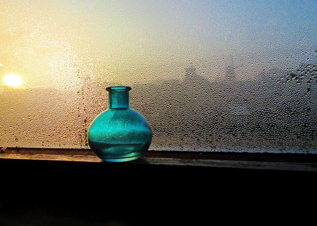 Cum se face, pas cu pas, „trucul cu sare” /foto: Pixabay