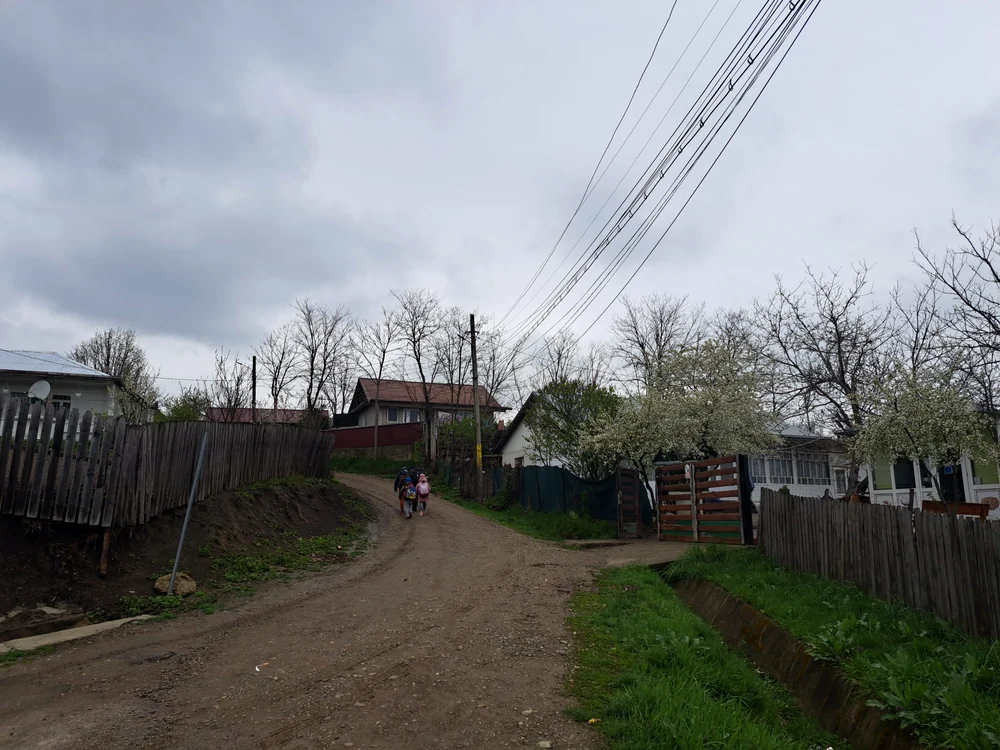 Pe ulița satului FOTO Cosmin Zamfirache