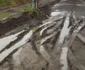 Imagini de Evul Mediu în Constanţa - cartierul Veterani Km 4-5 Foto S.I.