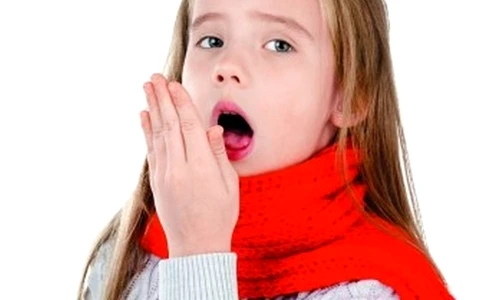 1 73305 original jpg jpeg