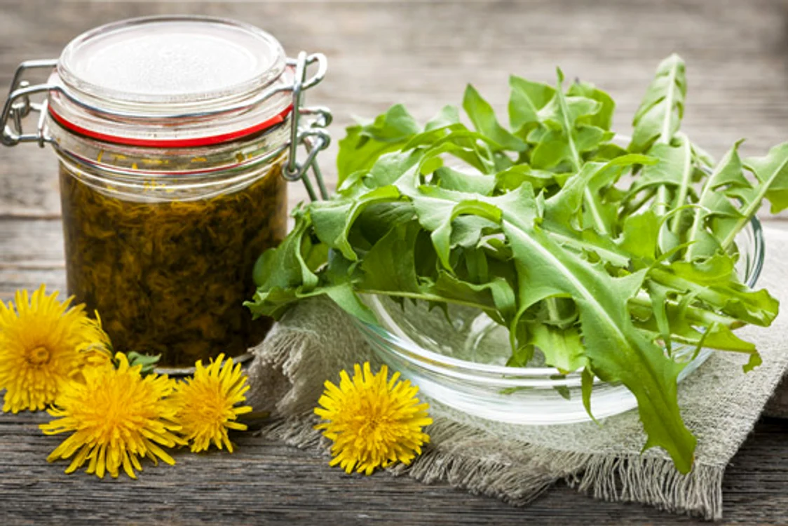 
    Păpădia este un detoxifiant de excepţie  
