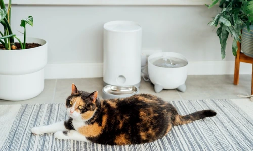 7e1f67ad18e7a1162149c30d2c7eab02 png