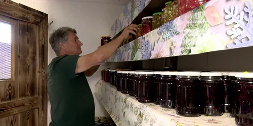 conserve pensiuni vulcani (1) png