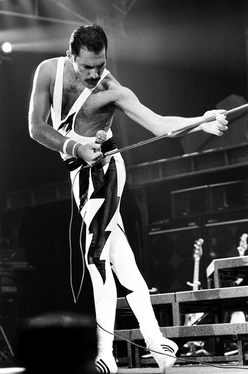 5 freddie mercury ultimele zile 2 jpg jpeg