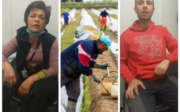 Românii sunt nemulţumiţi de condiţiile de muncă şi de cazare oferite în Germaniafoto: Adevarul