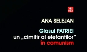 Mercenari la gazetă jpeg