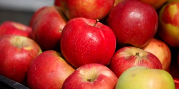 Mănâncă merele cu coajă, deoarece aceasta conţine de două ori mai multă vitamina B5 decât miezul
