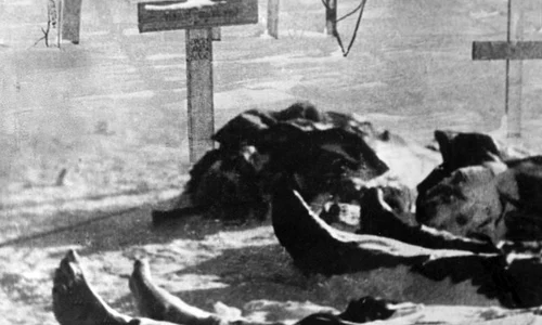 Eroi români pe Frontul de la Stalingrad jpeg