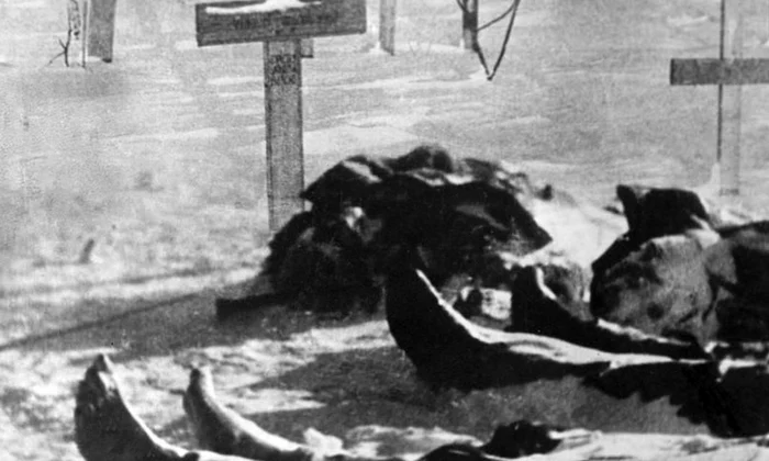 Eroi români pe Frontul de la Stalingrad jpeg