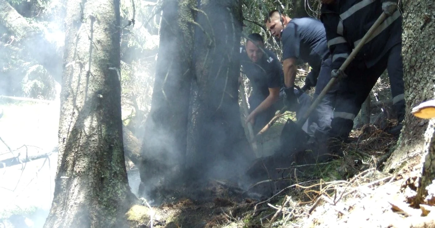 Pompierii si angajatii ocoalelor silvice au reusit sa stinga incendiul de pe Muntele Puru