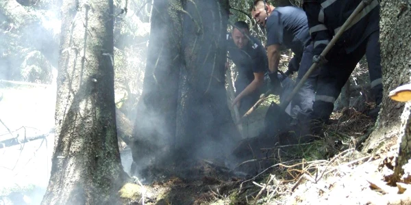 Pompierii si angajatii ocoalelor silvice au reusit sa stinga incendiul de pe Muntele Puru