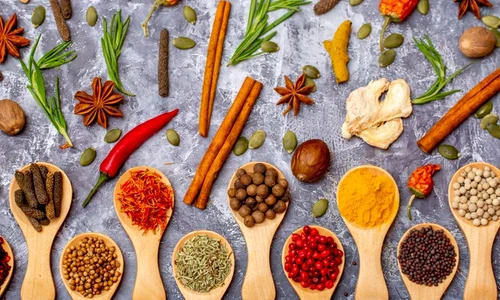 shutterstock 2438372383 jpg