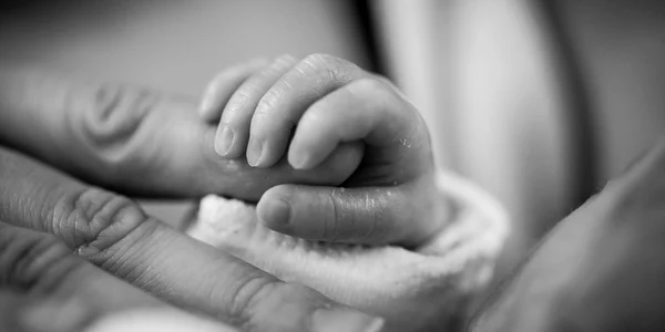 bebelus si mama foto pixabay