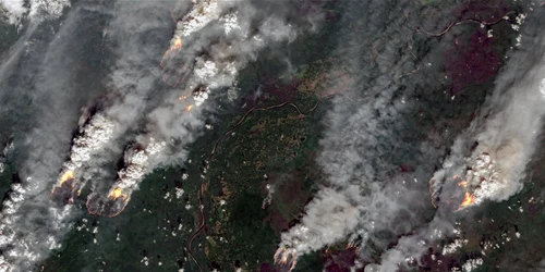 Incendii de vegetaţie în Siberia FOTO ESA / Copernicus