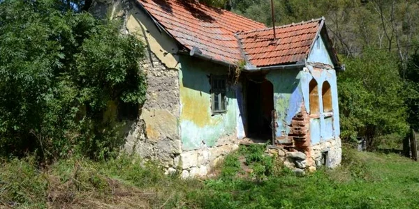 casa parasita apuseni