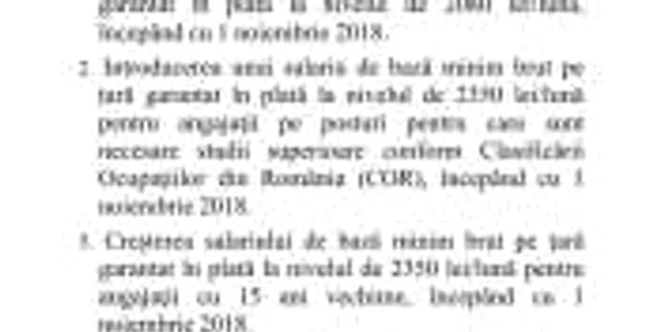 olguta vasilescu salariu minim