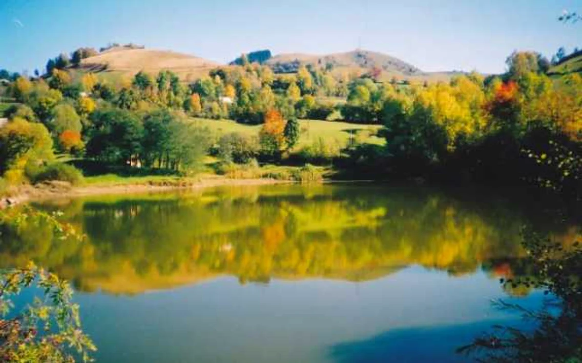tau rosia montana