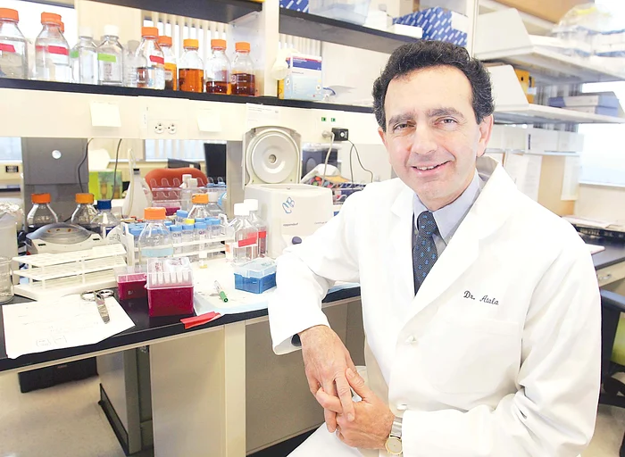 Celule necesare pentru a obţine un nou penis pot fi prelevate şi de la organele sexuale grav rănite sau amputate