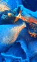 Epava descoperită în apropierea insulei Andros (© Υπουργείο Πολιτισμού)