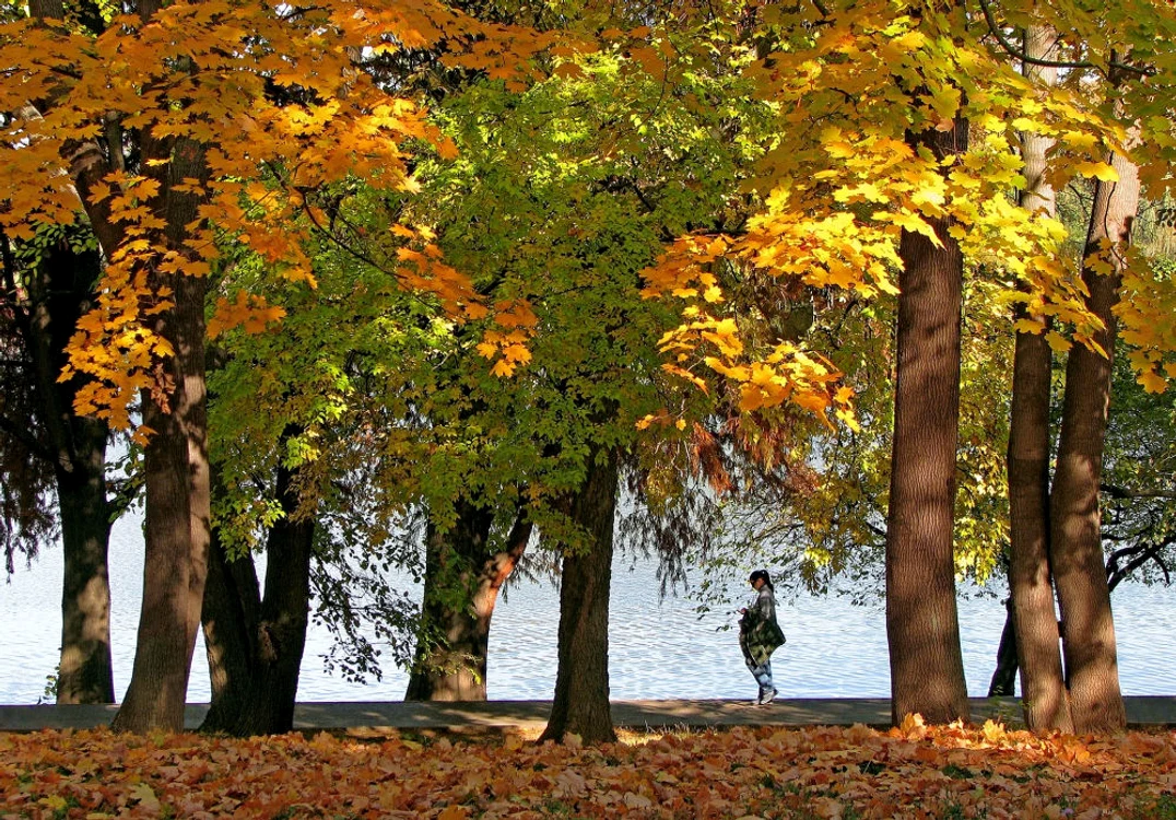 
    În acest weekend, în Capitală vom avea vreme de primăvară   