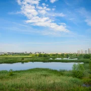 Delta Văcăreşti Foto Shutterstock