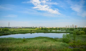 Delta Văcăreşti Foto Shutterstock