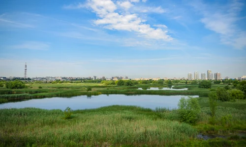 Delta Văcăreşti Foto Shutterstock