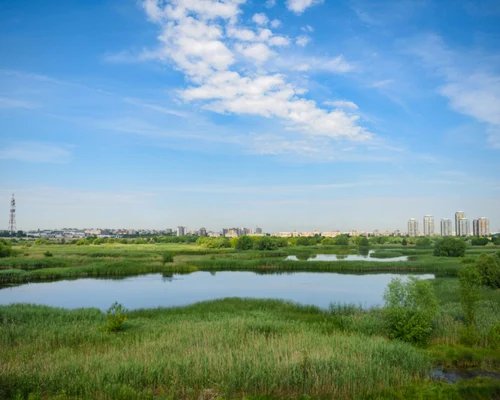 Delta Văcăreşti Foto Shutterstock