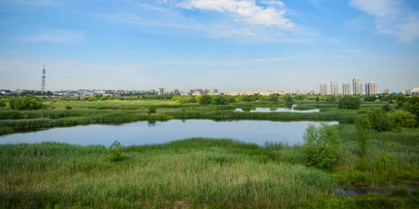 Delta Văcăreşti Foto Shutterstock