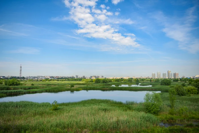 Delta Văcăreşti Foto Shutterstock