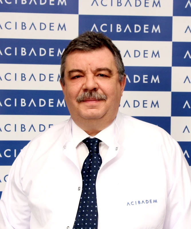 2 prof dr erkan vardareli jpg jpeg