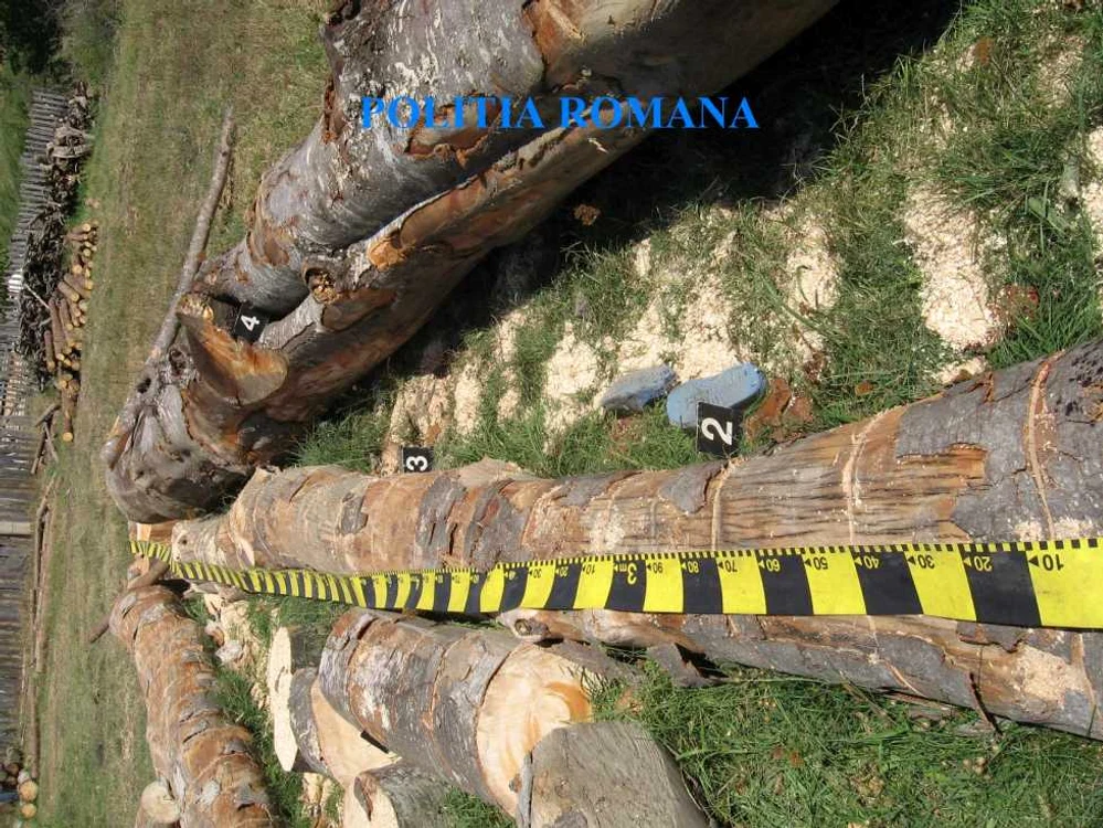 Lemnul care l-a strivit pe băieţelul de noua ani din Călineşti-Vâlcea