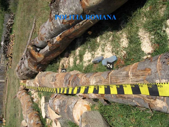 Lemnul care l-a strivit pe băieţelul de noua ani din Călineşti-Vâlcea