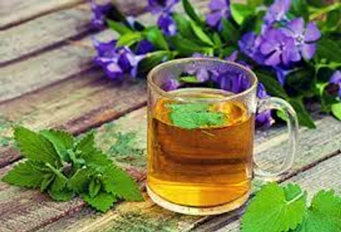 Terapia cu roiniță, benefică pentru sistemul nervos și memorie Sursa foto:Click.ro